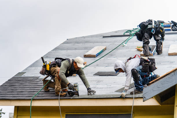 Professional Gutter Installation technician working in Laurier, WA